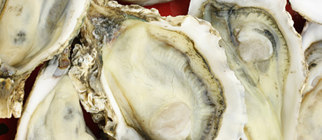 Othniel Oysters